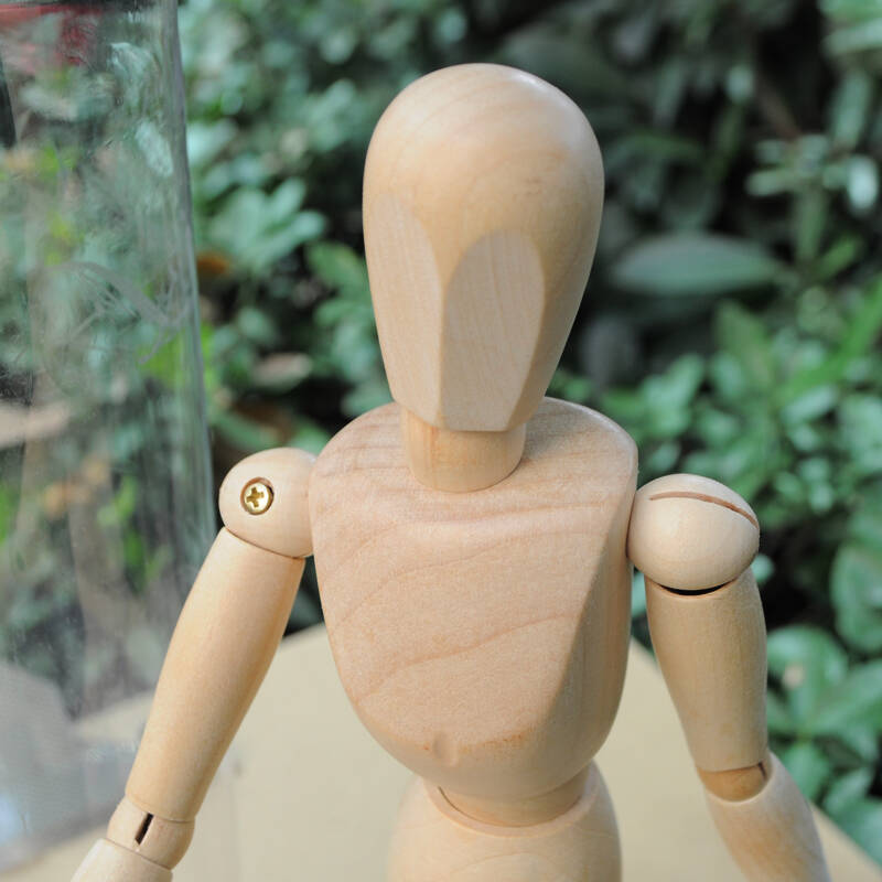蒙玛特12英寸男木人偶高30cm 木头人/美术木人/人体模型/玩具木偶 木