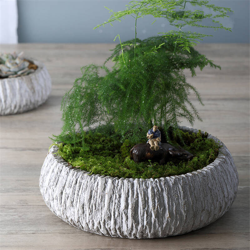 新品圆形多肉花盆拼盘盆景花盆绿植水培水仙花盆花器