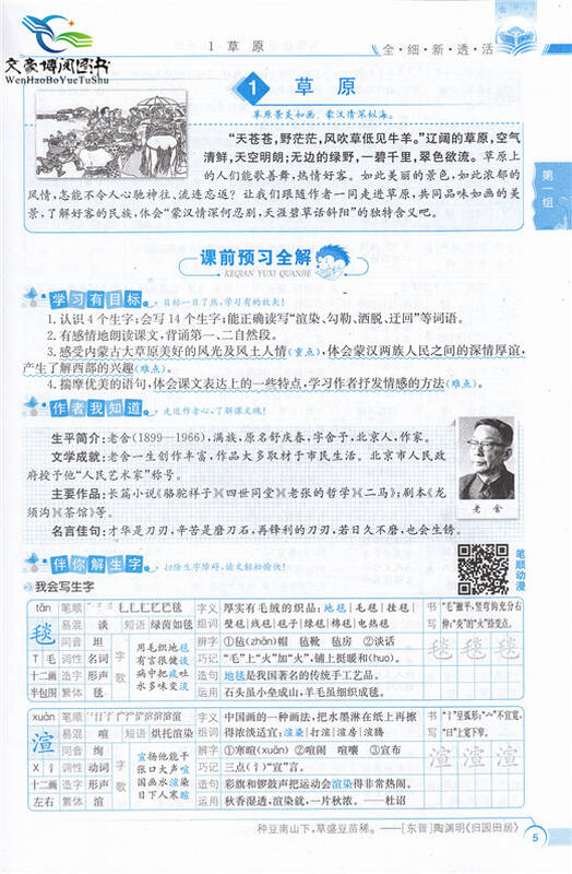 2016新版 薛金星小学教材全解5五年级下册语文书全解人教版五年级语文