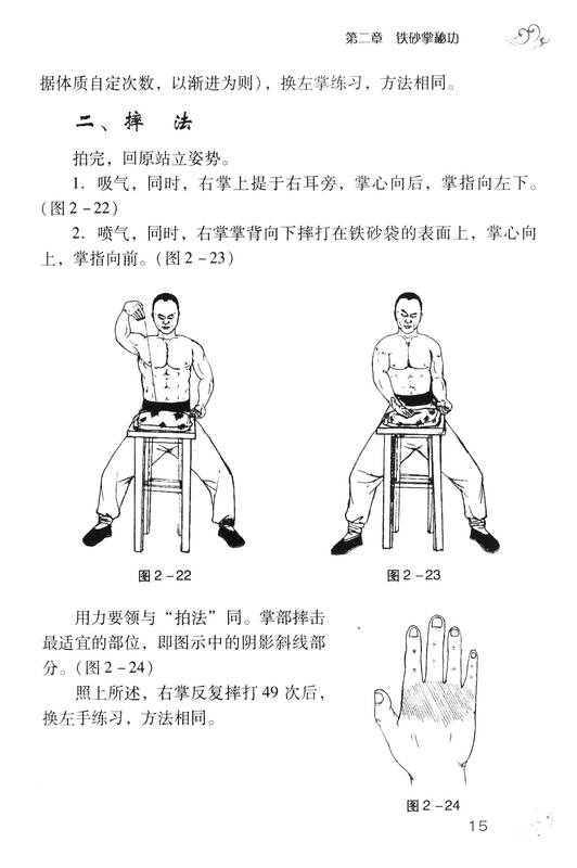 顾汝章秘传铁砂掌