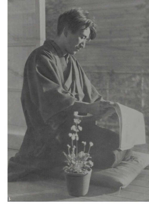 生而为人我很抱歉出处,生而为人还请努力不忘