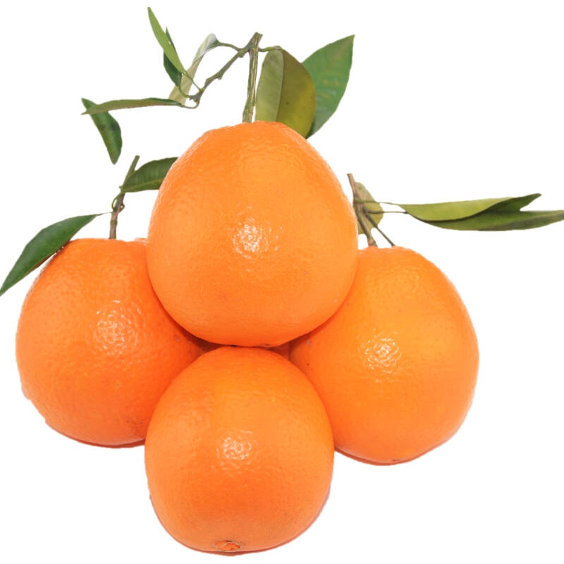 仁寿馆 纽荷尔橙 8 装 甜橙长虹圆虹脐橙 新鲜水