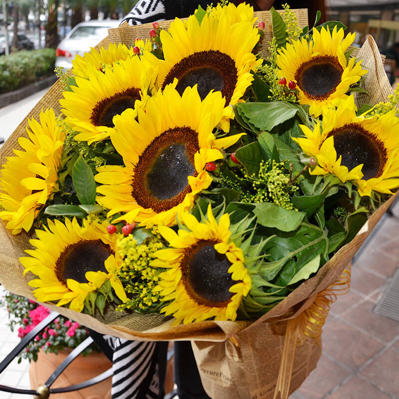 【真爱】鲜花速递 9枝向日葵花束 情人节鲜花 同城送花 玫瑰花 生日订