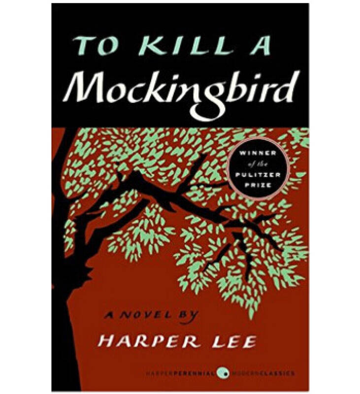 英文原版to kill a mockingbird杀死一只知更鸟