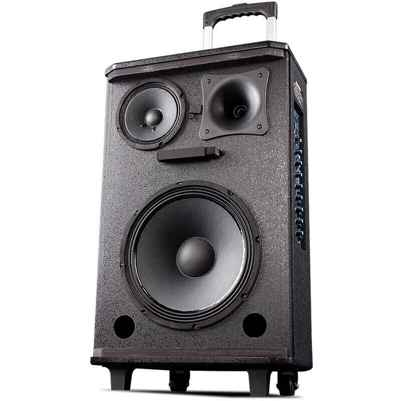 先科(sast)sa501 15寸广场舞音响 蓝牙户外便携式音箱
