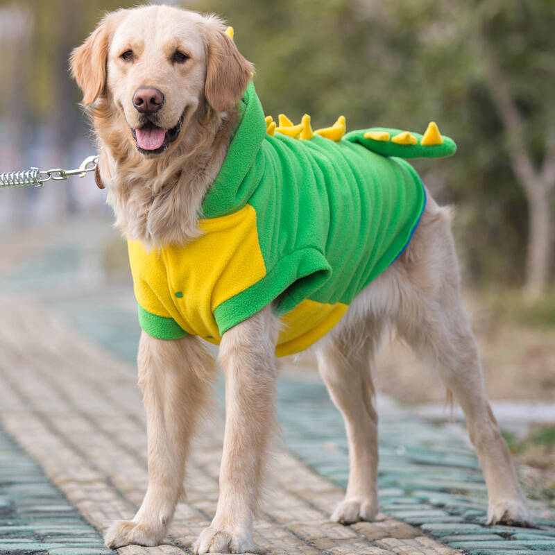 宠物衣服大型犬衣服变身装春秋保暖狗狗衣服 金毛宠物服饰 绿色恐龙