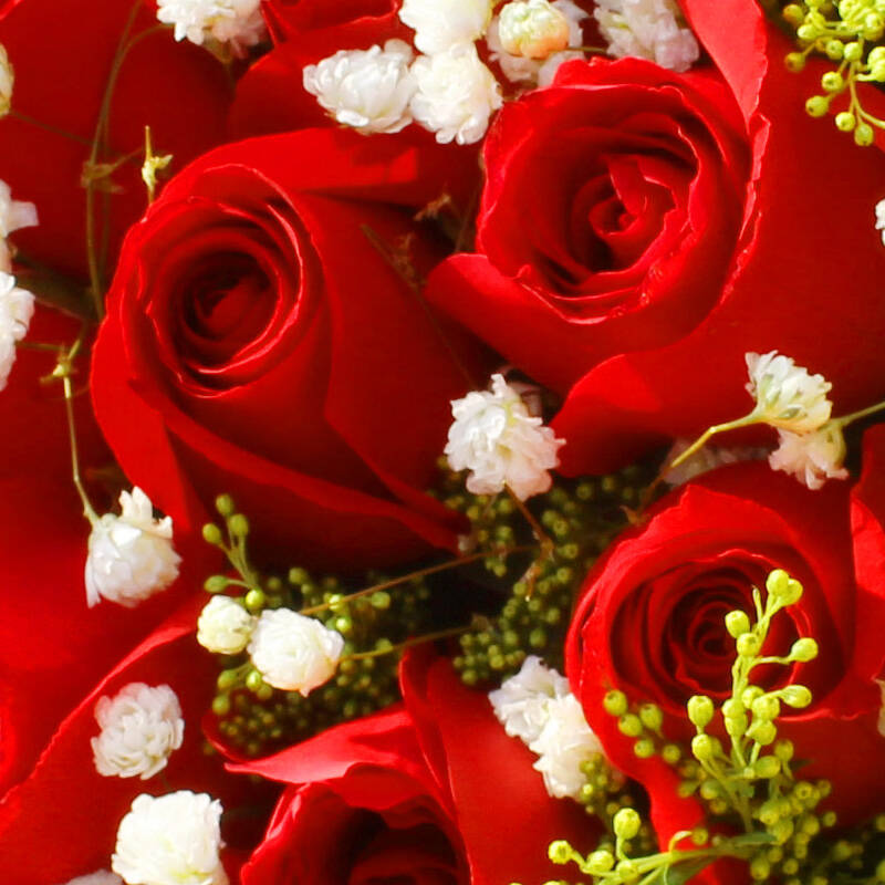 女朋友老婆生日礼物北京上海广州全国鲜花速递花店 33朵红玫瑰花黑纱