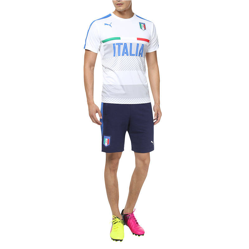 彪马/puma figc italia意大利 训练运动 男子 短袖t恤 748851 白色-深