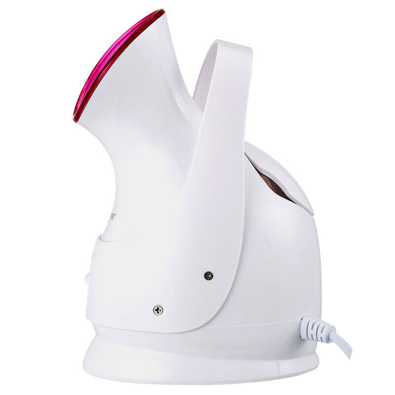 蒸脸器能当加湿器用吗?或北方的冬天有什么有