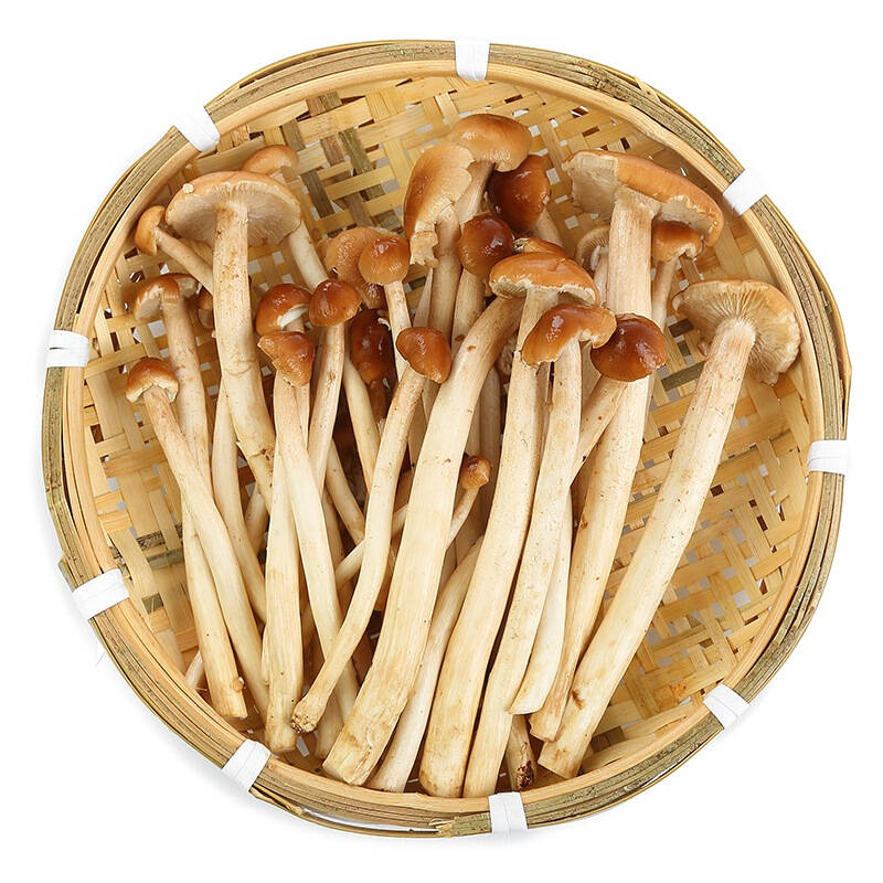 东源兴 茶树菇 约200g 自营 新鲜蔬菜