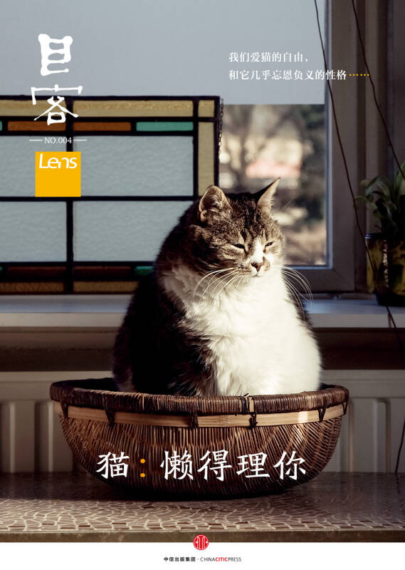 目客004·猫:懒得理你