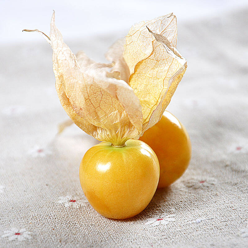 树懒果园 东北姑娘果 1kg 新鲜灯笼果 甜菇茑