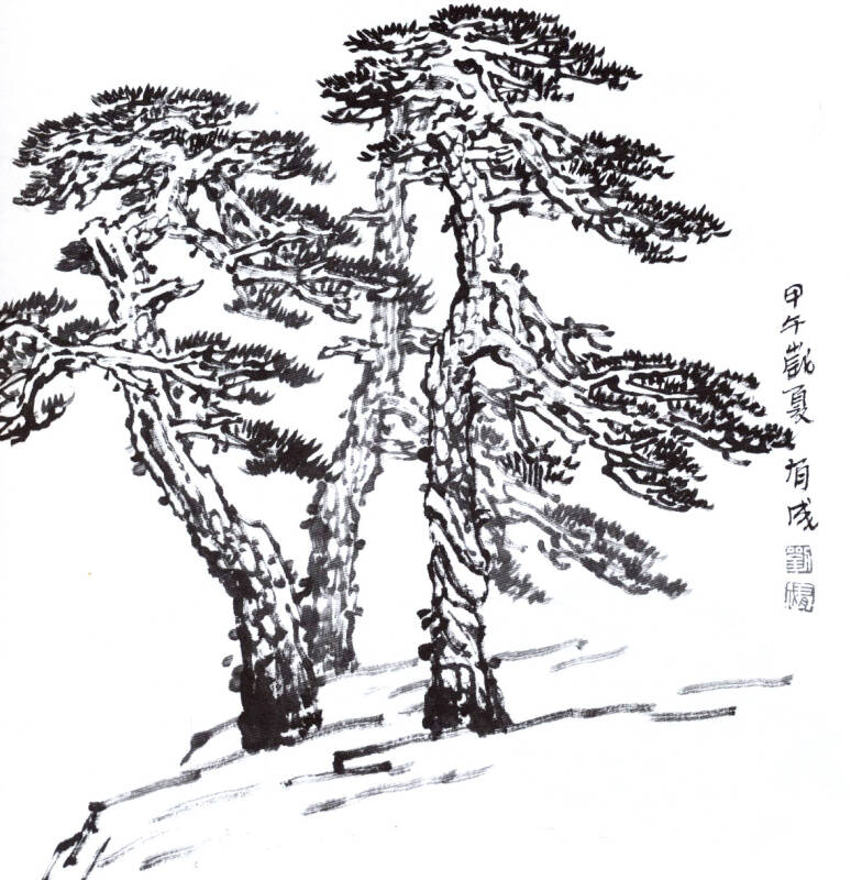 实用白描画稿:黄山松百态