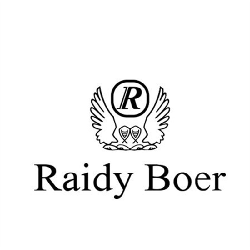 raidyboer雷迪波尔2014年夏装新品 男士格子短袖t恤polo衫7138 灰格