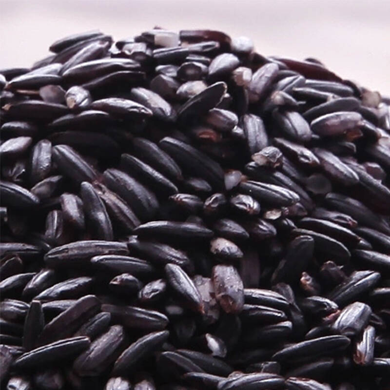 {药谷}小米地 正宗云南墨江紫糯米/紫米/血糯米1kg