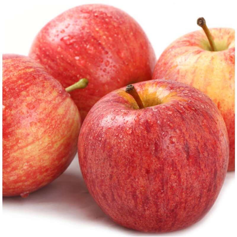 欢乐果园 新西兰进口加力果嗄啦果苹果 12个装 单果约