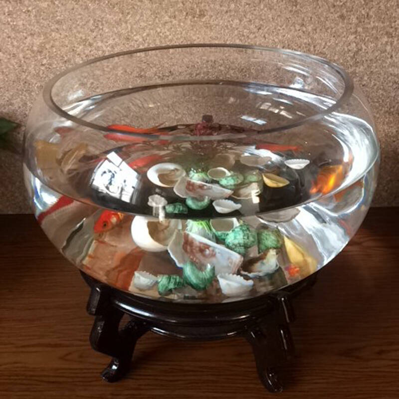 旷奇创意水族箱生态圆形鼓缸形玻璃金鱼缸乌龟缸迷你小型造景水培花瓶