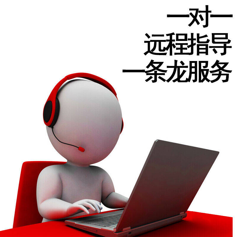 远程服务 免费提供远程指导 专业技术一对一指导 一站