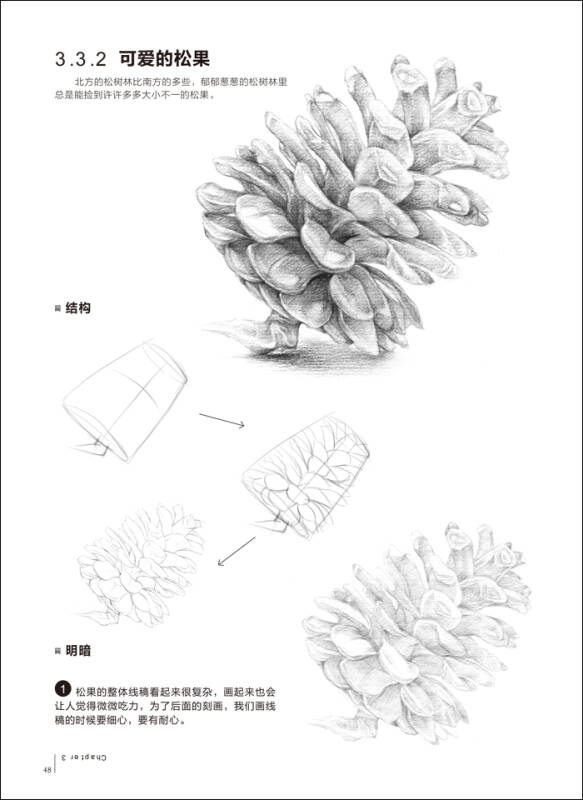 铅笔素描从入门到精通·植物篇