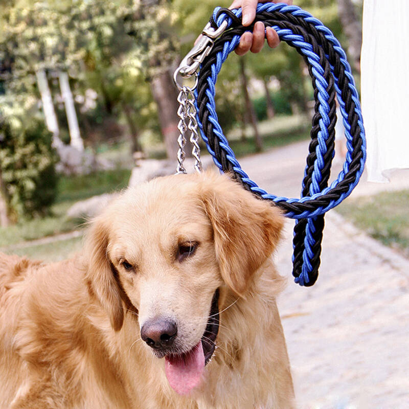 牵引带 遛狗绳 狗链子自动项圈 中型犬大型犬 金毛萨摩耶宠物狗链子