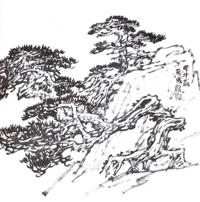 实用白描画稿:黄山松百态