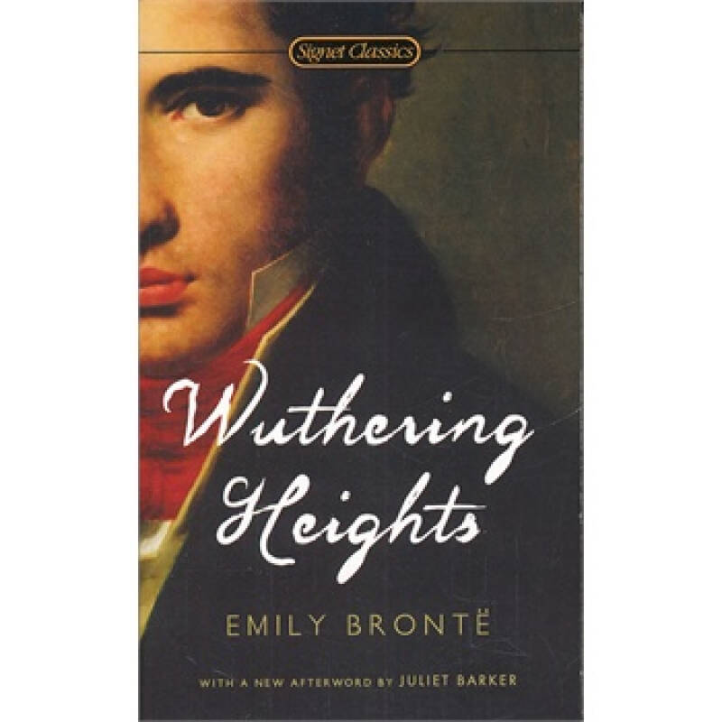 emilybronte简介,emilybronte wuthering heights emily bronte