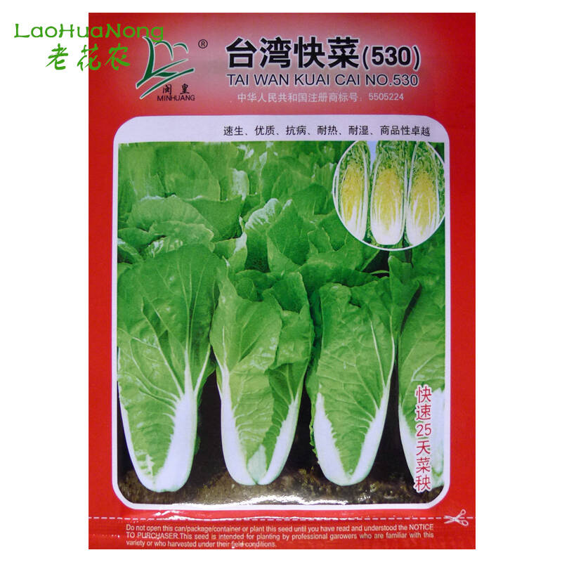 老花农 蔬菜小白菜种子 四季可播 生长快 台湾快菜10克