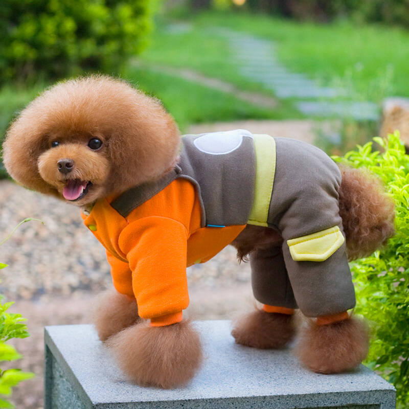 七彩屋 狗狗衣服秋冬四脚衣服宠物小狗泰迪贵宾比熊小型犬猫衣服宠物