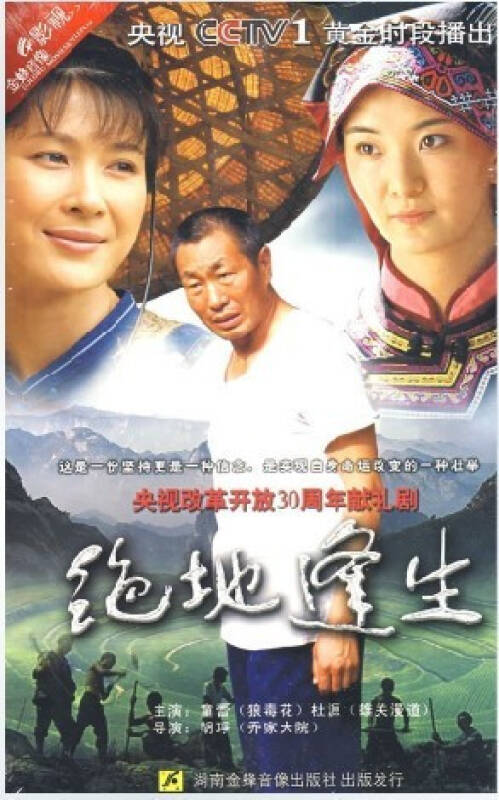 原装正版 电视剧 绝地逢生 经济盒装 4dvd主演:童蕾杜源