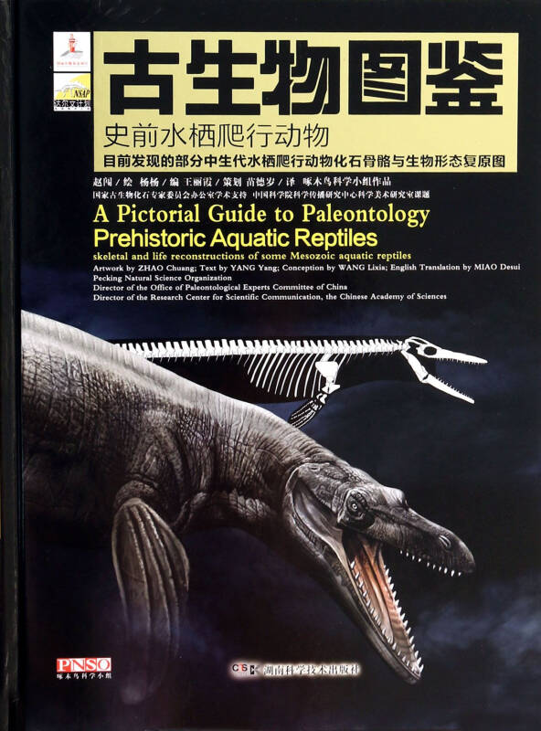 爬行动物目前发现的部分中生代水栖爬行动物化石骨骼与生物形态复原图