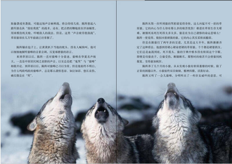 姜戎新版 狼图腾(影像青少版) 小学3-6年级必读图书 全新正版