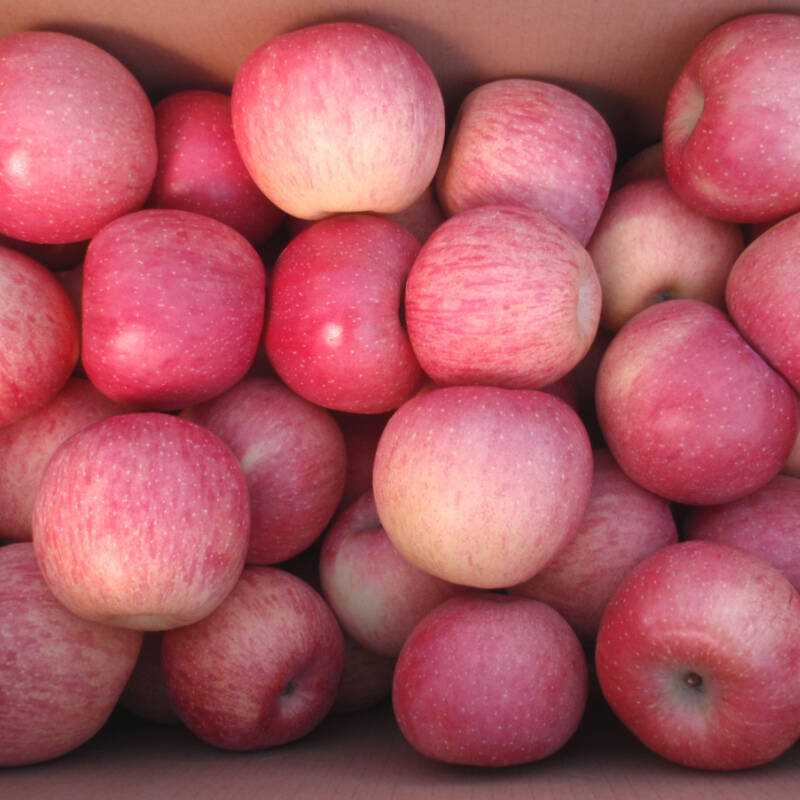 新鲜平安果圣诞果红富士苹果2斤箱装特产苹果新鲜水果