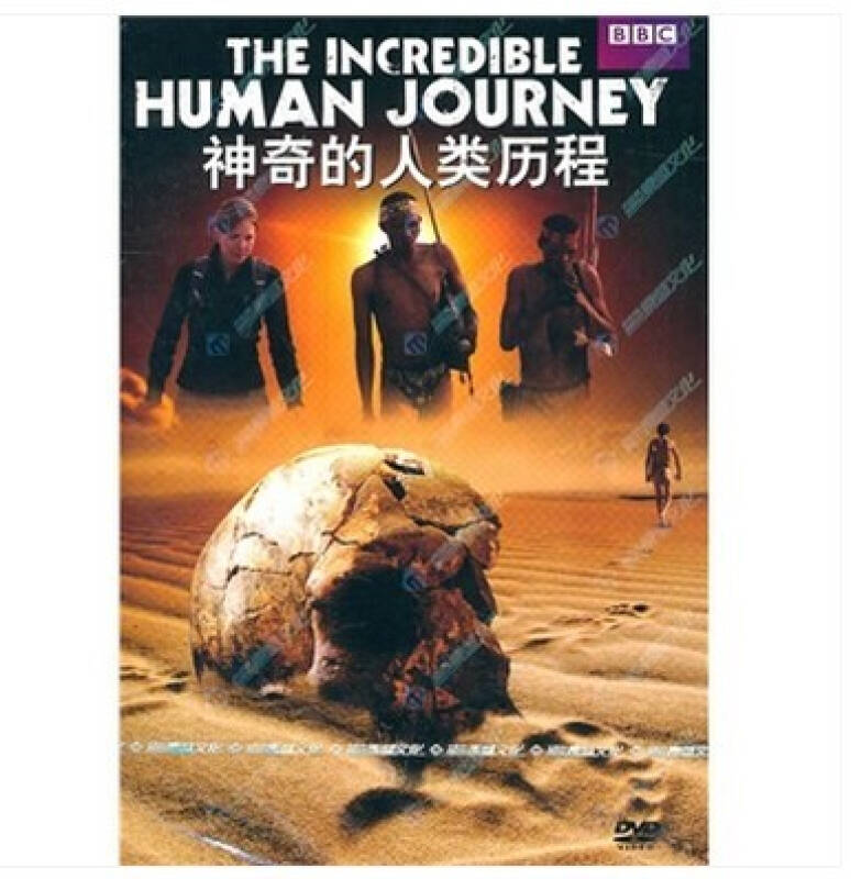 原装正版 bbc经典纪录片 神奇的人类历程(2dvd)系列光盘