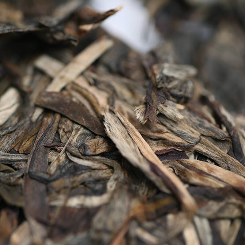 古域 景迈山古树生普洱茶 云南普洱茶生茶 古树纯料 纯手工茶 8克样茶