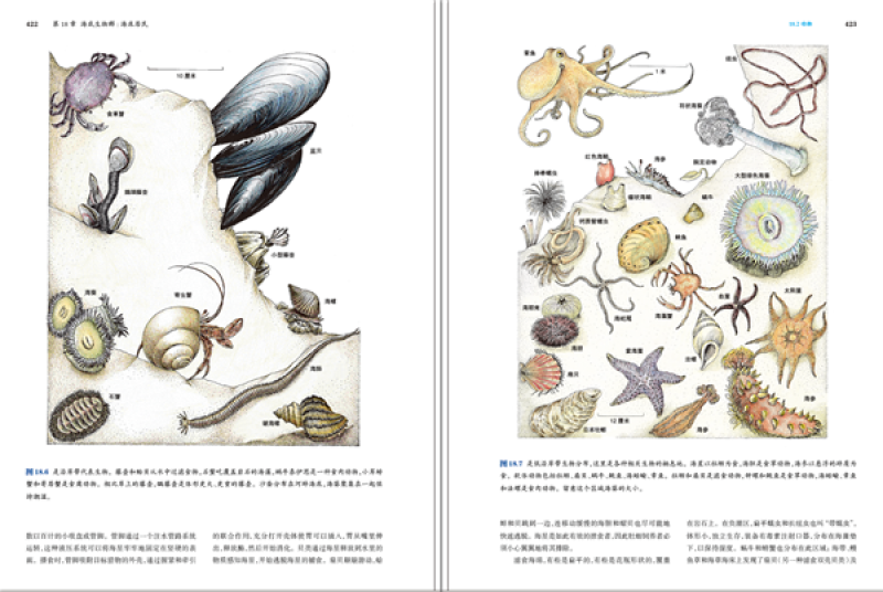 世界海洋概览 海洋科学教科书 海洋生物地质活动图鉴