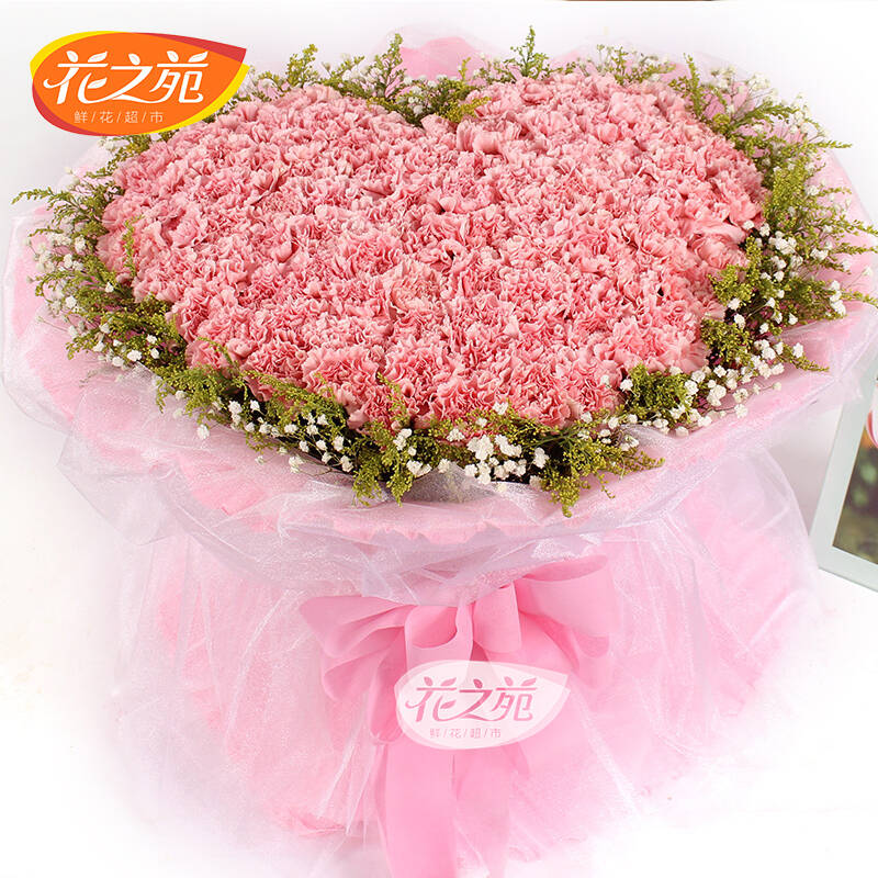 花之苑 康乃馨花束鲜花快递广州深圳 妈妈生日鲜花速递 花店送花 99朵