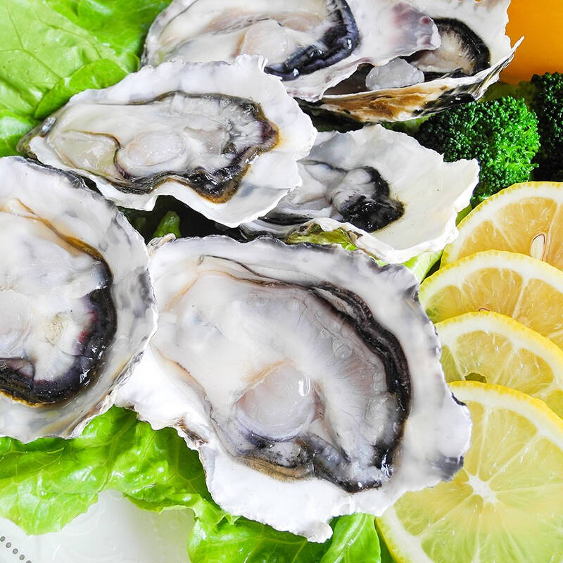 牡蛎岛大连刺身獐子刺身300g半壳生蚝特产制作食材冰鲜冰冻酸鸡爪怎样烧烤图片