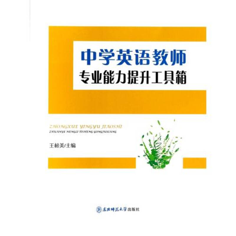 中学英语教师专业能力提升工具箱 王松美 正版书籍