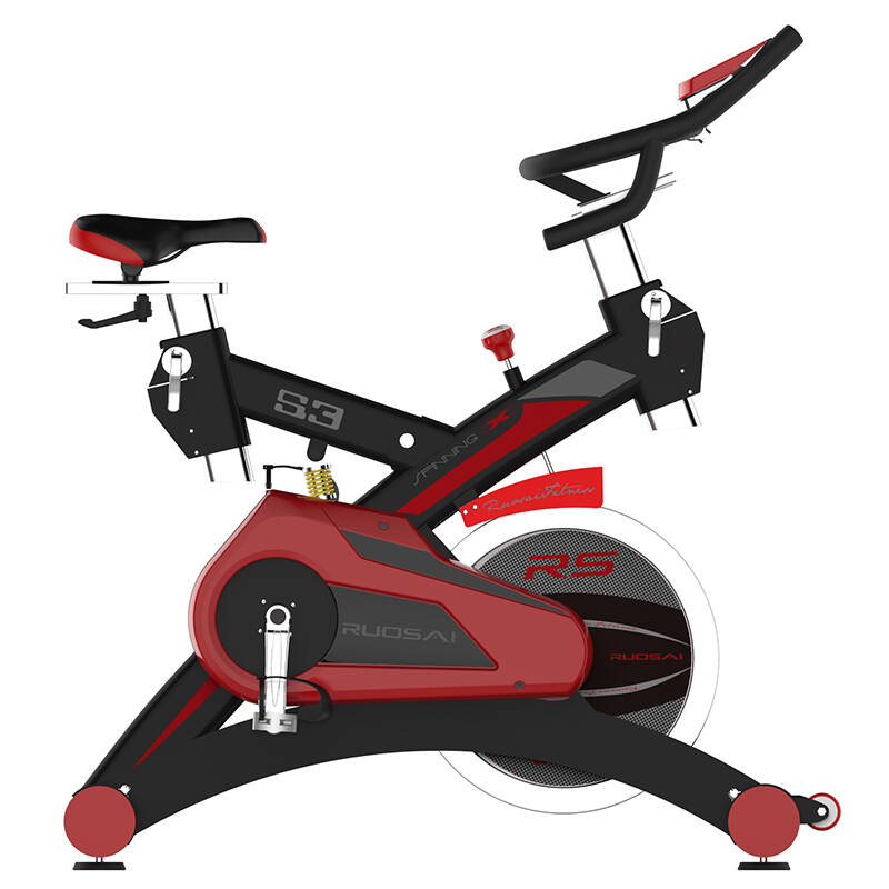 若赛动感单车家用健身车超静音 室内运动健身器材健身自行车s3 黑色