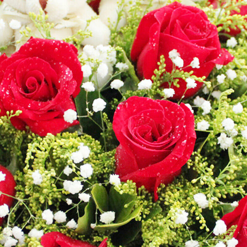 维纳斯鲜花11朵红玫瑰花束 鲜花速递全国同城鲜花店送花 北京广州深圳