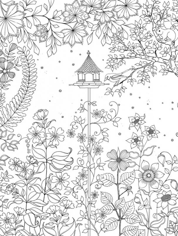 artist"s edition: a pull-out and frame colouring book 秘密花园