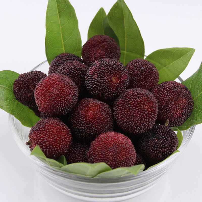 江西鄱阳湖馆 荸荠杨梅 产地直销新鲜水果现摘现发2kg
