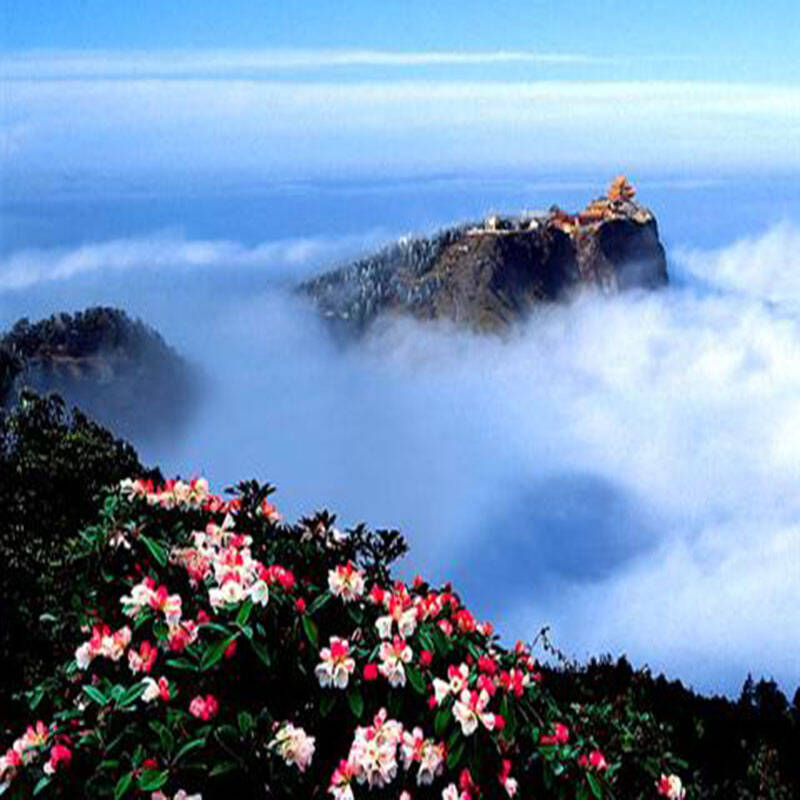 乐山大佛 峨眉山全景(含金顶风光)纯玩2日游