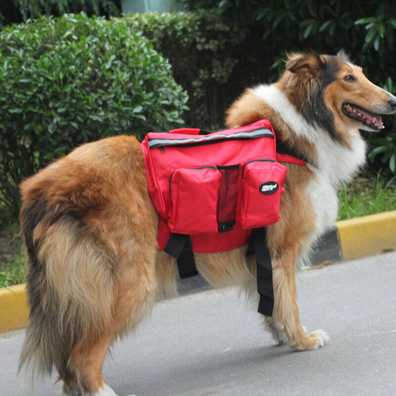 中大型犬狗狗旅游包 大狗自背包 狗狗背东西的背包 外出包 红色