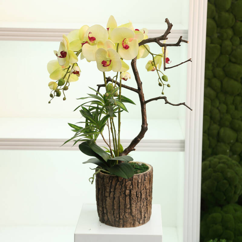 蝴蝶兰植物假花艺 仿真花装饰花卉 多肉绿植盆景摆件