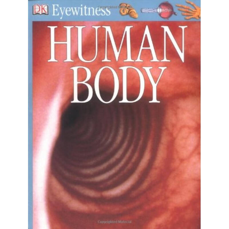 eyewitness human body