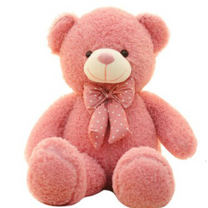 原创迪泰毛绒玩具大熊泰迪熊生日礼物大号公仔布娃娃泰迪熊抱抱熊大抱