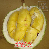 (前200名免单)盆栽火龙果树苗 红白紫黄肉 当年