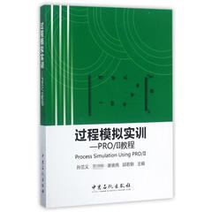 过程模拟实训