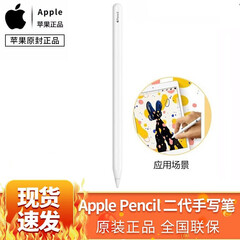Apple 苹果原装一代/二代触控笔适用iPad/Air3 10.5/mini5 Apple Pencil(第二代)